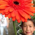 Michael Foong - @mfoongus9 - Instagram