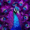 Michael Foong - @michael.foong - TikTok
