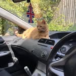Michael Foot - @michaelfoot6 - Instagram