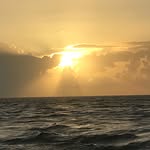 Michael Foreman - @michael.foreman.9693 - Instagram