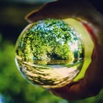 Michael Foreman - @michaelforeman5 - Instagram