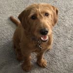 Carson Michael Formica - @carsonformica - Instagram
