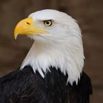 Michael Formica - @formi_6 - Instagram