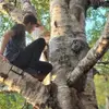 michaelfosso297 - @michaelfosso297 - TikTok