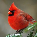 Joseph Fossum - @joseph_michael_fossum - Instagram