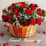 Michael Fouad - @michael.fouad.923 - Instagram