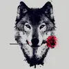 Michael Fouché - @michael.fouch8 - TikTok