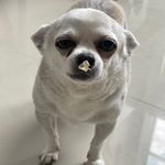 Michael Fox - @mrminersminerals - Instagram