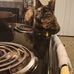 Michael Foxworthy - Facebook