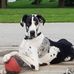 Mike Foxworthy - Facebook