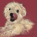 Michael Fragnito - @fragsees - Instagram