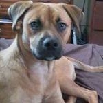 Michael Fragnito - @fragglexrocker - Instagram