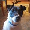 Michael Fraker - @michael.fraker - TikTok