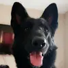 Michael J. Fraley - @michaelj.fraley - TikTok