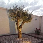 Michael Freudenberger - @michaelfreudenberger - Instagram