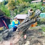 Michael Friedl - @michaelthewoodturner - Instagram