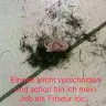 Michael Froböse - @michaelfroböse - TikTok
