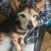 Michael69 - @michael.fugate - TikTok