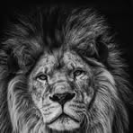 Michael Fugate - Facebook