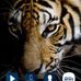 Mike Fullwood - Facebook