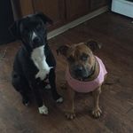 Michael Gable - @gable322 - Instagram