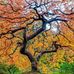 Michael Ashley Gallery - Facebook