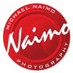 Michael Naimo Studio & Gallery - @naimogallerystudio - Instagram