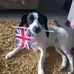 Michaela Galley - Facebook