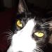Michael Gallmeyer - Facebook