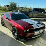 Michael Gallus - @gallus.michael - Instagram