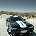 Michael Gallus - @gallus_michael - Instagram