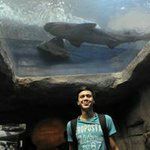 Michael Gamez - @michaelgamezs - Instagram