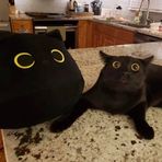 Michael Gamez - Facebook