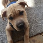 Michael Gammon - @mgammon285 - Instagram