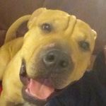 Michael Gammon - @gammon204 - Instagram