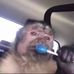 Michael Gammon - Facebook