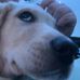 Michael Gandee - Facebook