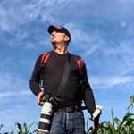 Michael Gane - @onth.edoorstepwildlife - Instagram