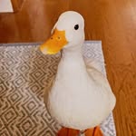 Michael Alexander - @michael.garamendi - Instagram