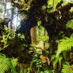 Michael Garner - @micag732022 - Instagram