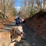 Michael Garon - @michael.garon.92 - Instagram