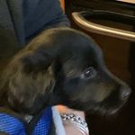 Michael Garretson - @mrgarretson - Instagram