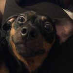 Michael Garside - @chevynewt82 - Instagram
