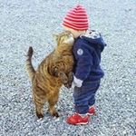 Michael Gasparyan - @michaelgasparyan - Instagram