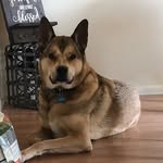 Michael Gasperi - @gasperimichael - Instagram