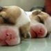 Michael Gatewood - Facebook