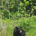 Mike Gaulke - Facebook
