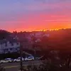 michaelgautieri226 - @michaelgautieri226 - TikTok