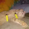 Michael Gavin - @michael.gavin26 - TikTok