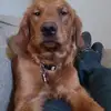 Michael Gavin - @michael.gavin25 - TikTok
